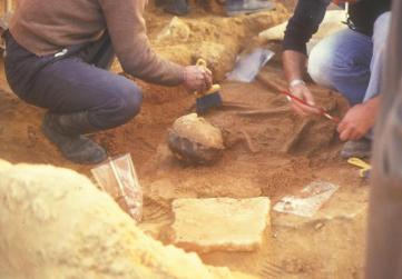 Necropoli Cuccuru is Arrius